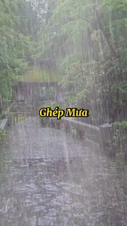 Ghép Cảnh Mưa