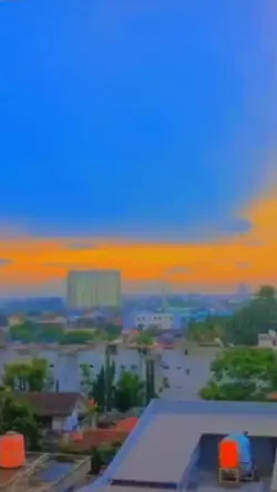 INSOS  BIAK 