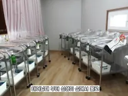 개씹관종의 스토리