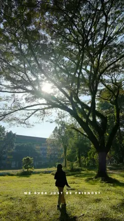 CinematicVideo&Lirik