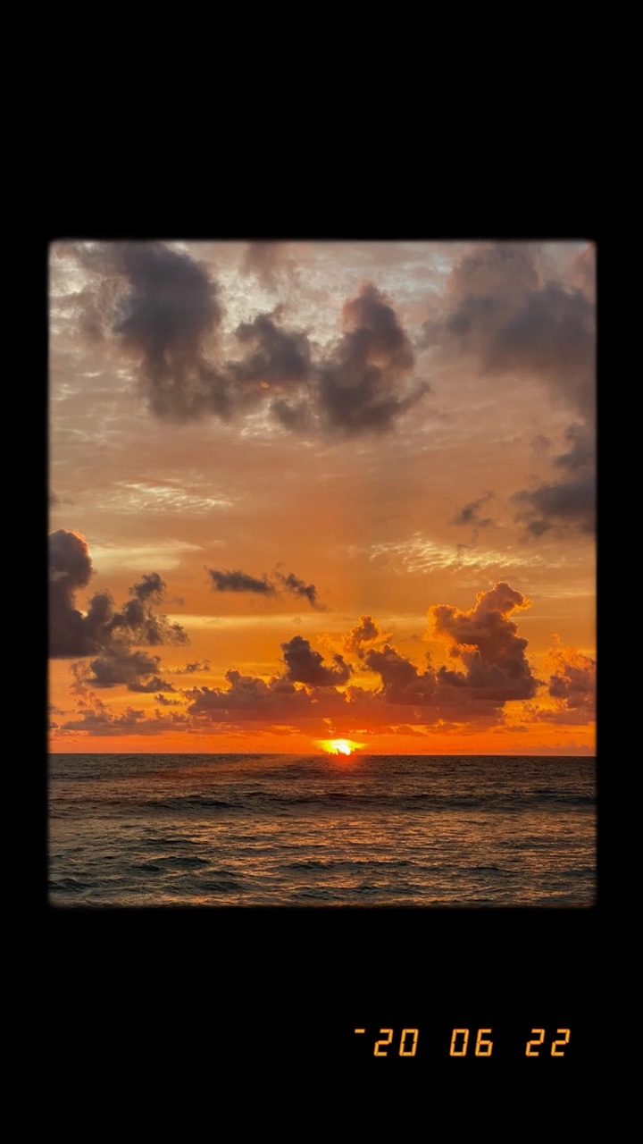 Película de Plog # 35