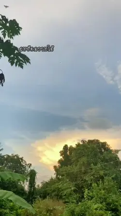 ขอแจกต่อนะคับ