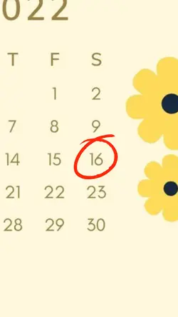 Birthday 16 April 🎉