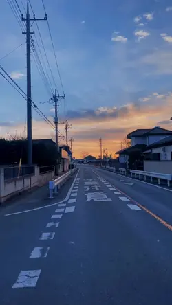 Japanese Vibes