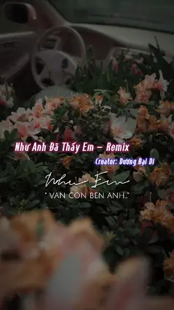Như anh đã thấy em
