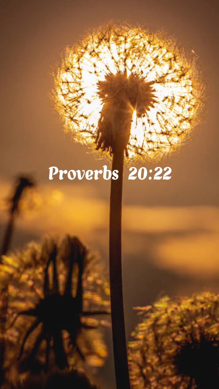 Bible Verse 