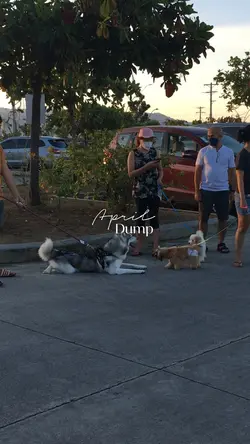 April Dump // pt2
