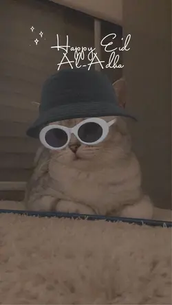 Dipakai buat lebaran