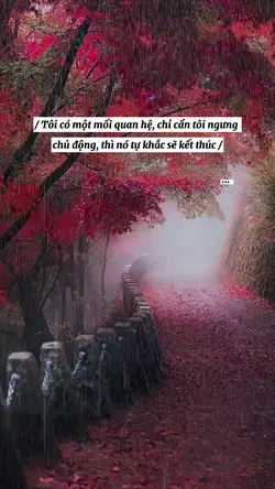 stt Tâm trạng