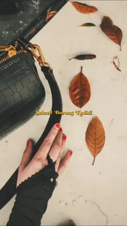 Sekecil BurungKedidi