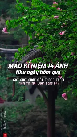 Mẫu kỉ niệm 14 ảnh