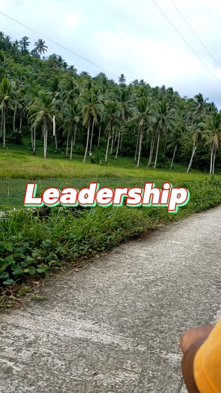 You are a leader 