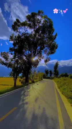 Slowmo 