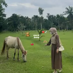 2 vid + 8 foto