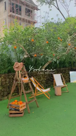 Daily Vlog/Plog 🌈