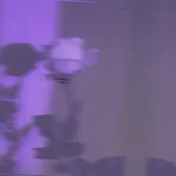 어째서 숨어버린 건가요?