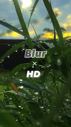 BLUR x HD