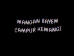 foto tim
