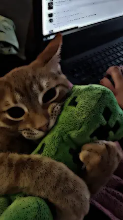 DjMaafKanlahSoibahKu