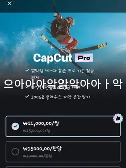 캡컷 유료