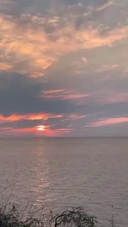 1 Video 7 Pictures 