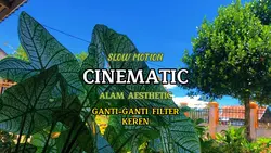 CINEMATIC ALAM
