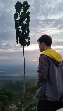 Vibe alone