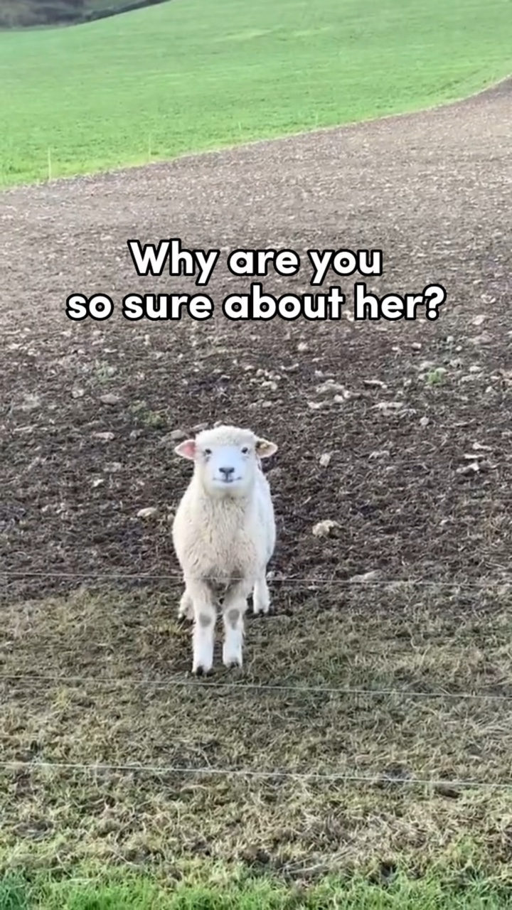 Why are you so sure?