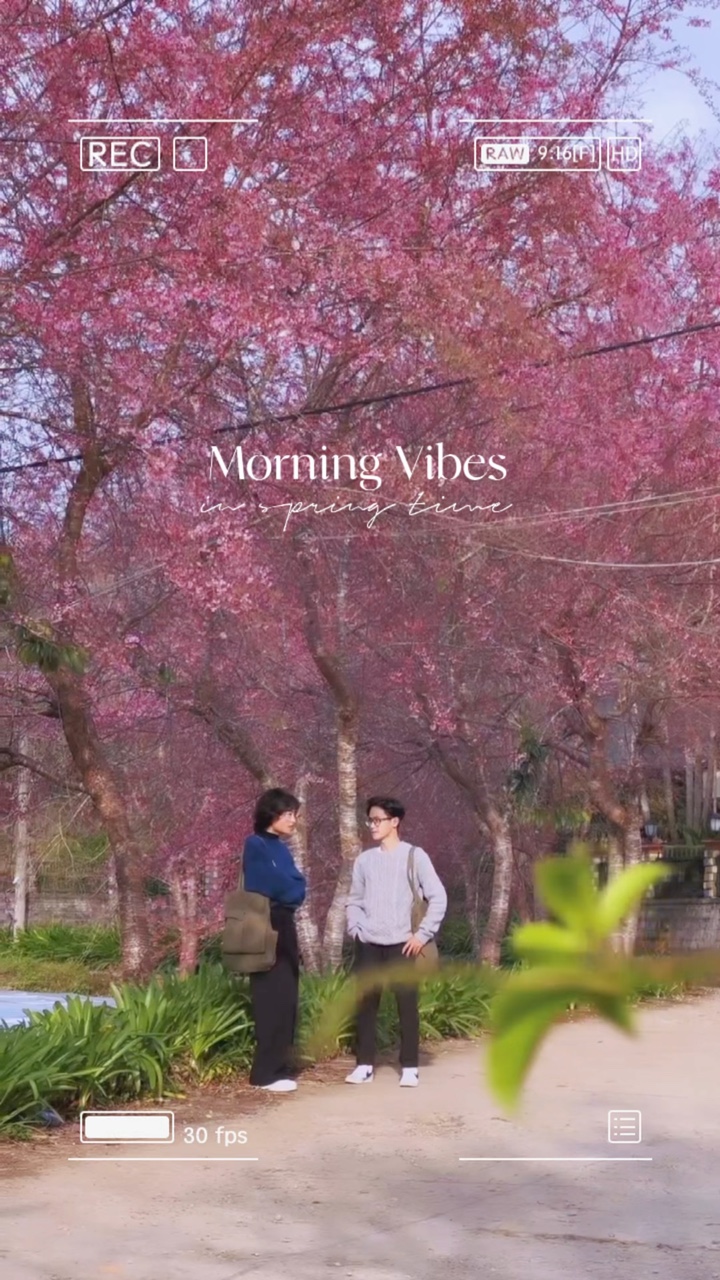 Morning Vibes Vlog