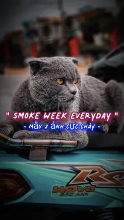 Smoke Week Everyday