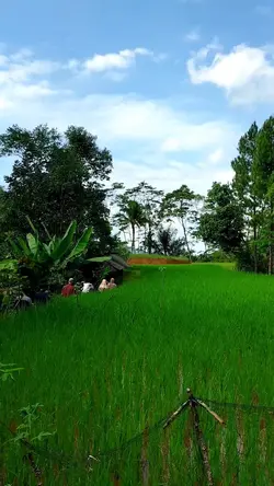 INDAH PISAN DI