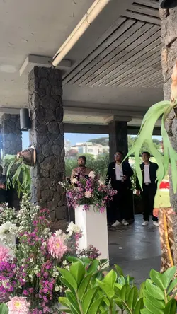 Vlog Pernikahan