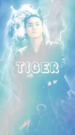 3DTiger
