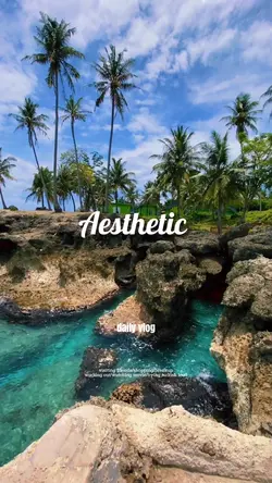 Aesthetic view