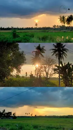 Senja