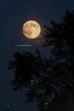 Moon 