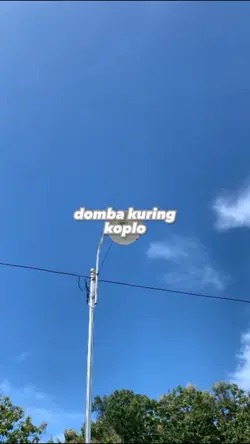 domba kuring koplo