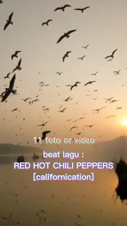 californication rhcp