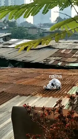 ganti nama kamu