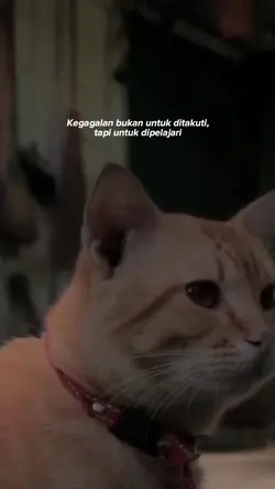 Untuk dipelajari