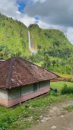 vibes