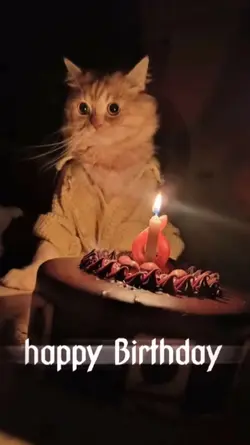 Happy birthday