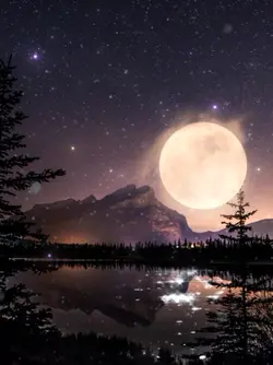Moonlight Sparkling