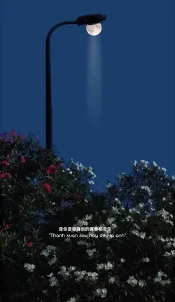 2 pics tâm trạng tí 