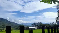 sky blue