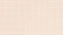 OPENING PRESENTATION