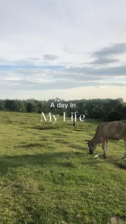 A Day In My Life