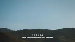 “人生看似简单