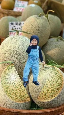Anak Melon 15