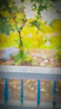 Mẫu video 